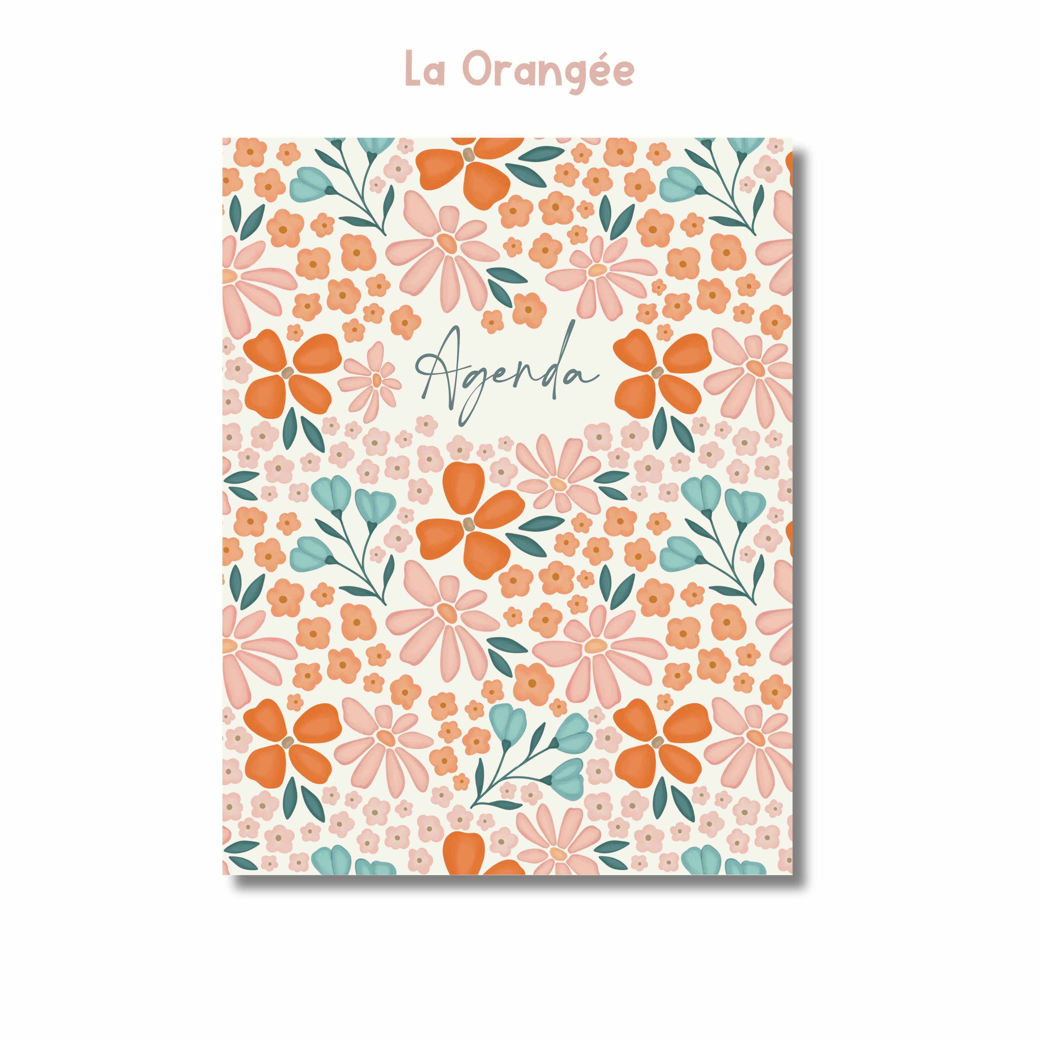 Image of Agenda grand public 2025-2026 (non-daté)