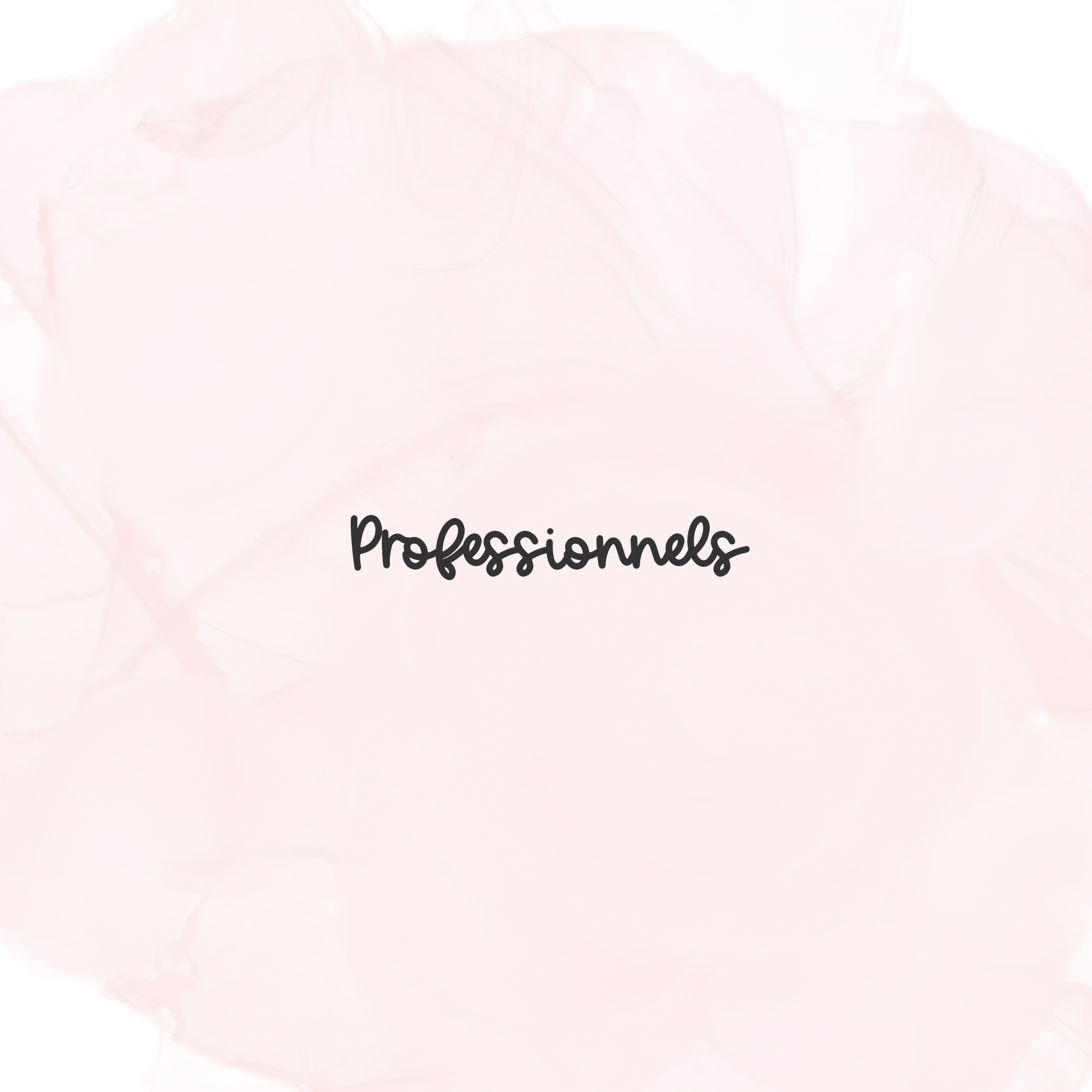 Planificateurs pour enseignant (Professionnel) 2026-2027