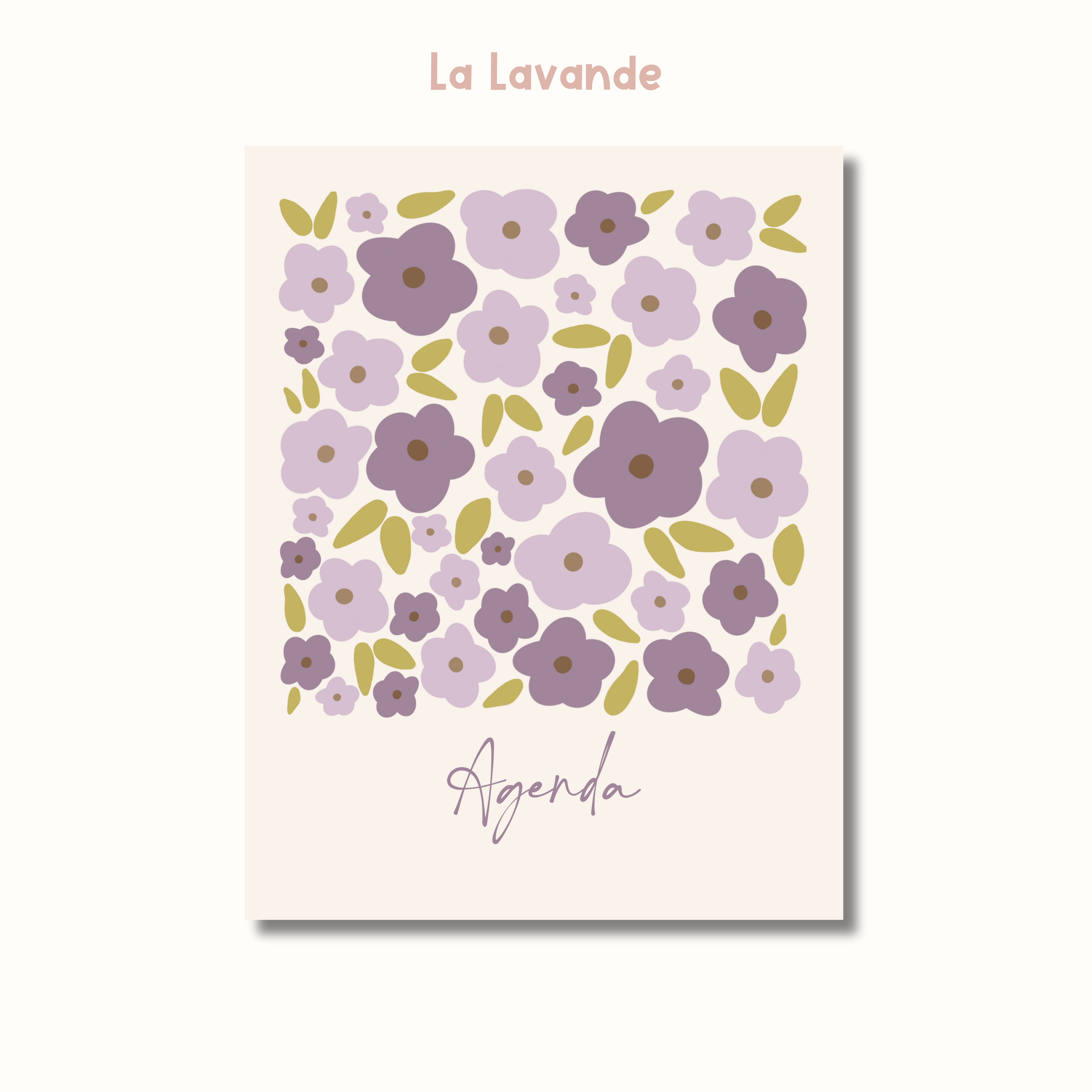 Image of Agenda grand public 2025-2026 (non-daté)