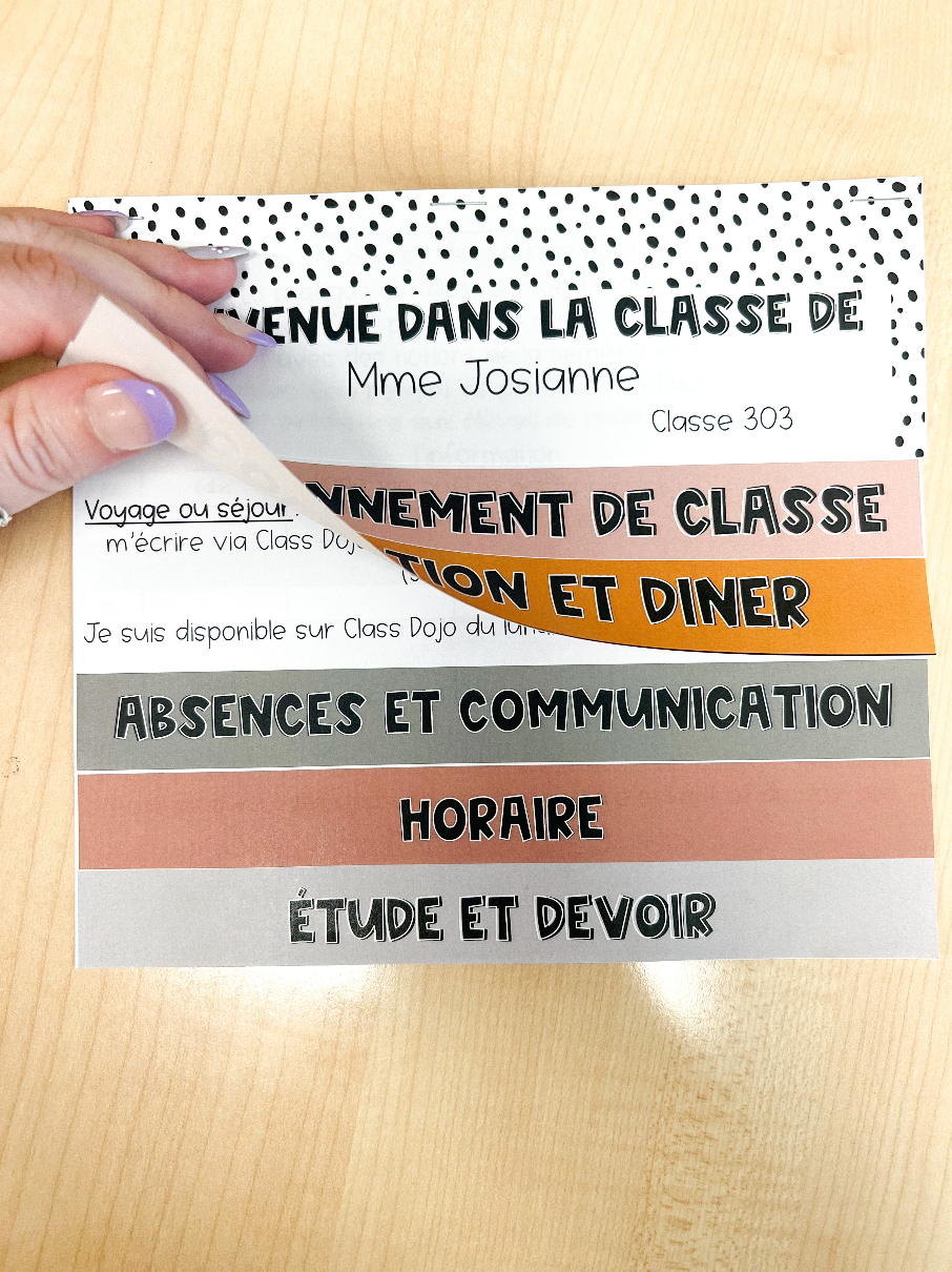 Image of Polka dot flipbook