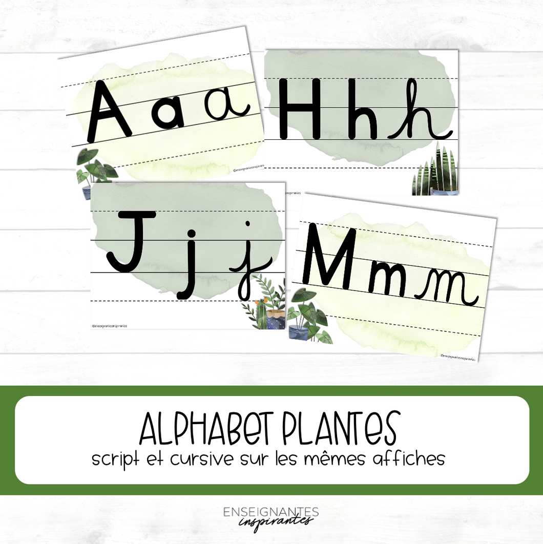 Alphabet (plantes)