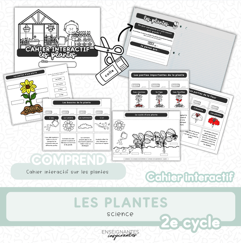 Enseignantes Inspirantes