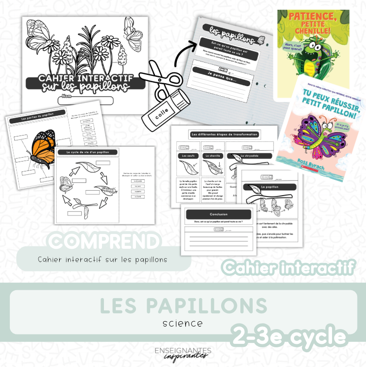 Enseignantes Inspirantes