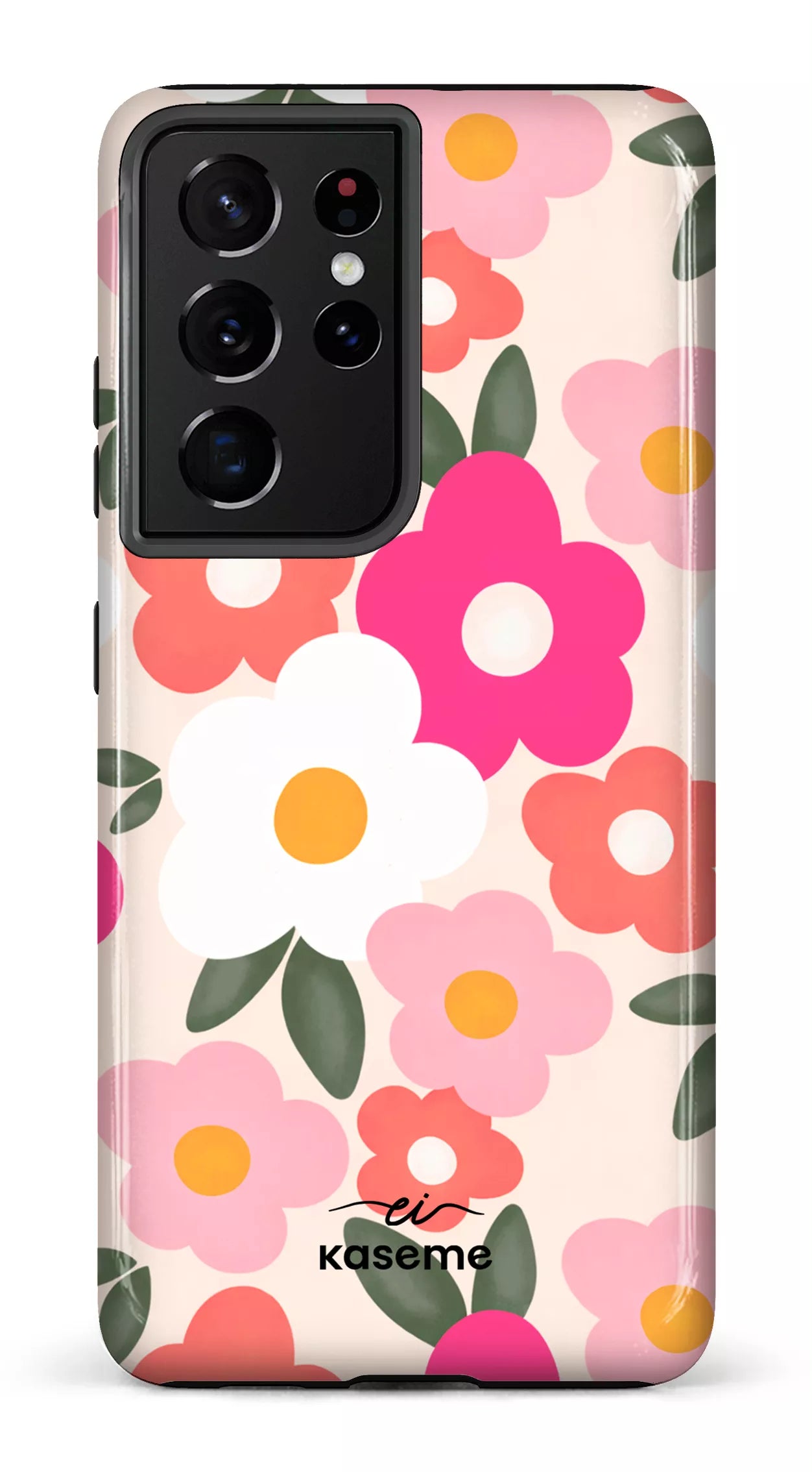 Image of Aurora par Enseignantes Inspirantes