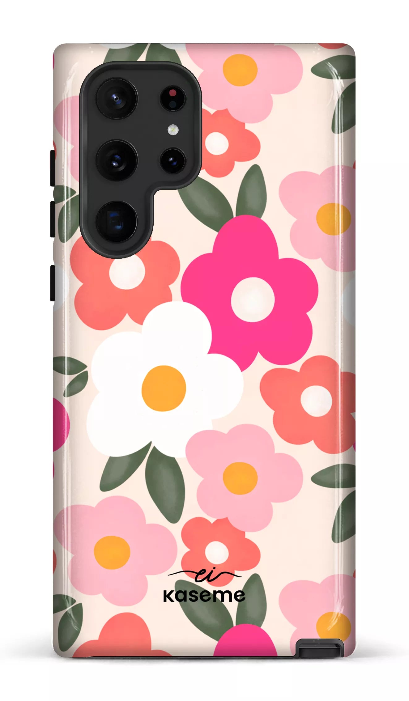 Image of Aurora par Enseignantes Inspirantes