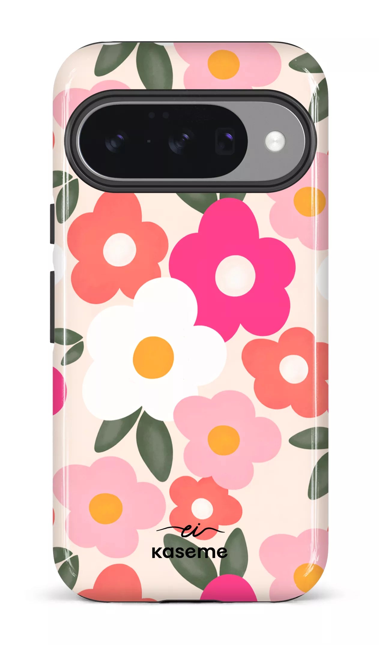 Image of Aurora par Enseignantes Inspirantes