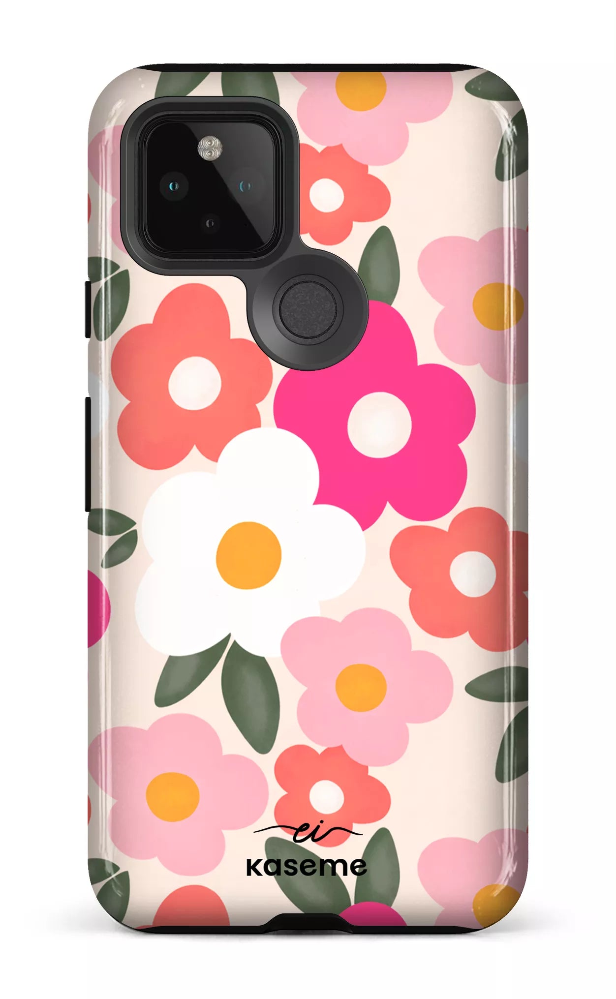 Image of Aurora par Enseignantes Inspirantes