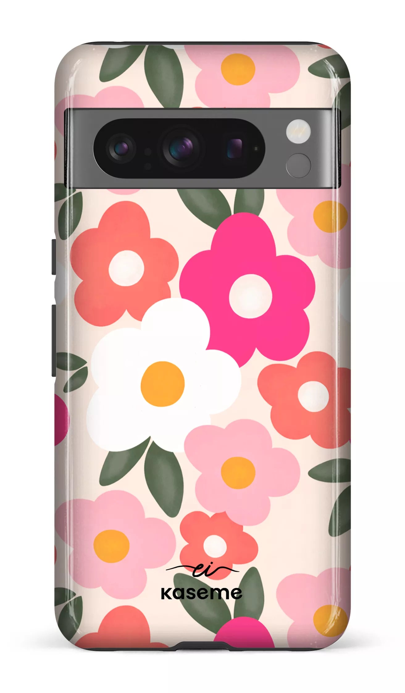 Image of Aurora par Enseignantes Inspirantes