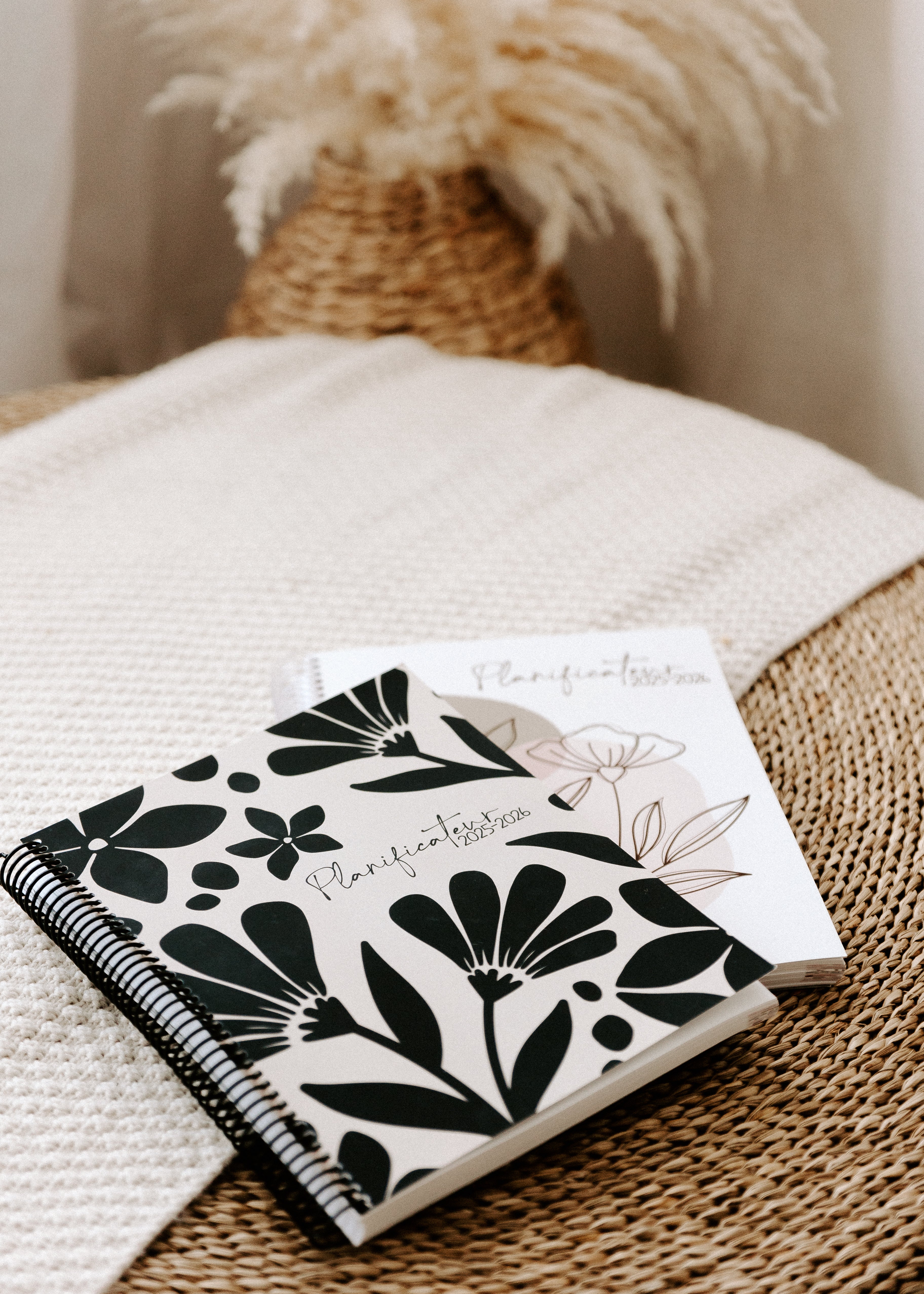 Enseignantes Inspirantes