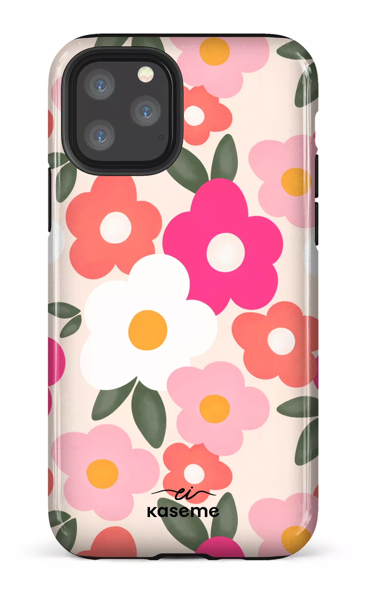 Image of Aurora par Enseignantes Inspirantes