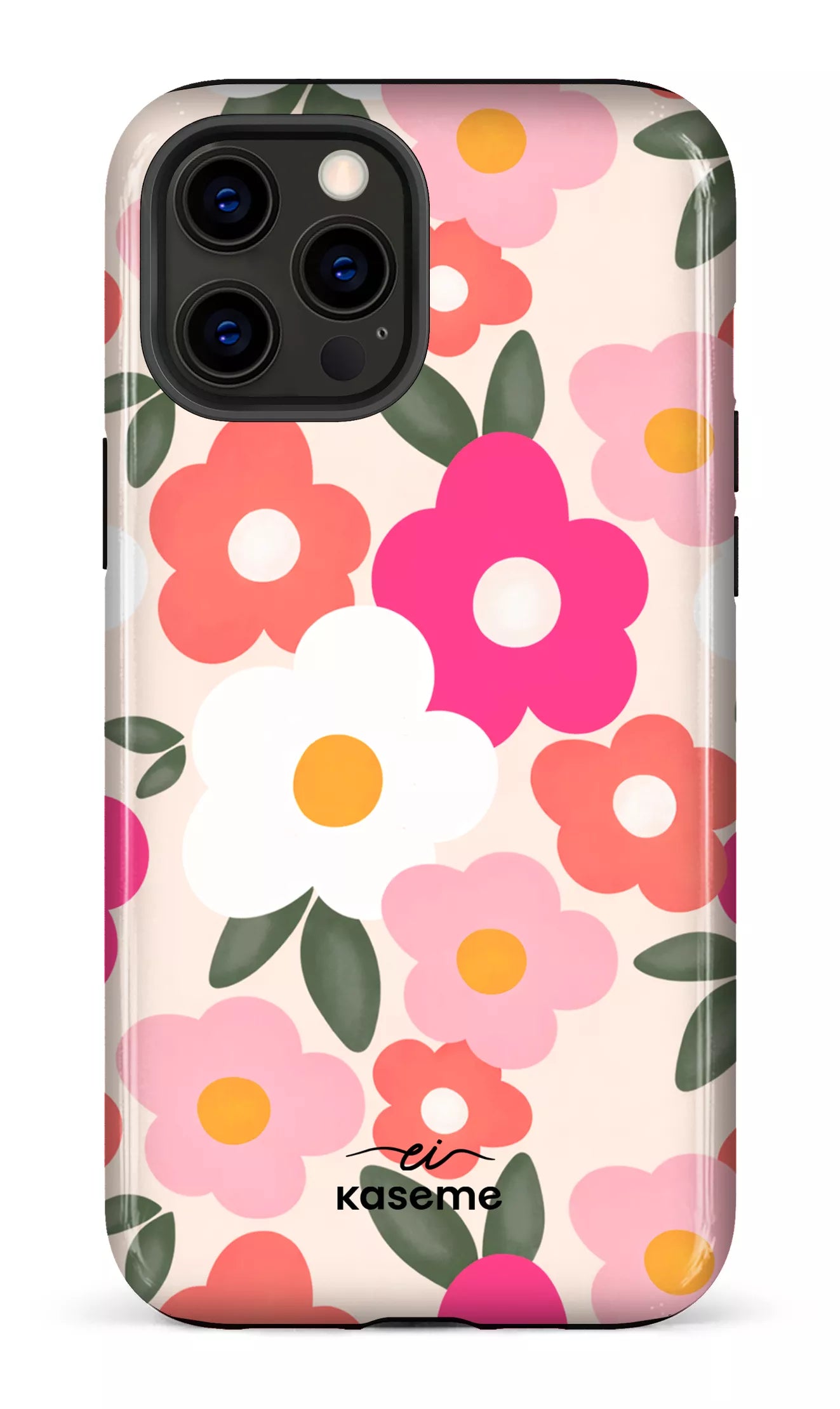 Image of Aurora par Enseignantes Inspirantes