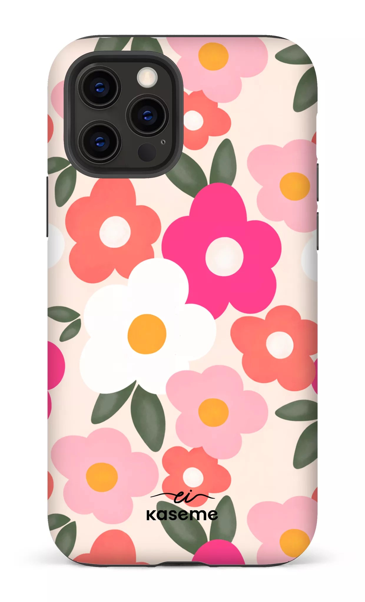 Image of Aurora par Enseignantes Inspirantes