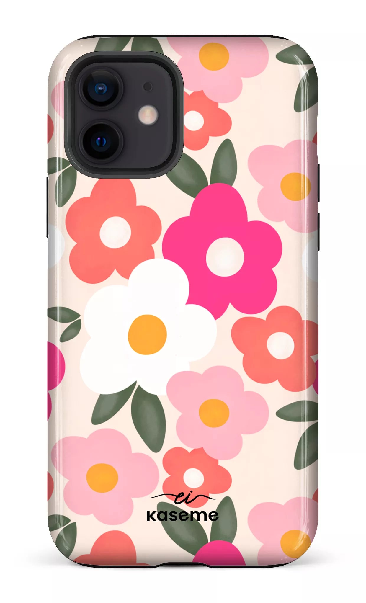 Image of Aurora par Enseignantes Inspirantes