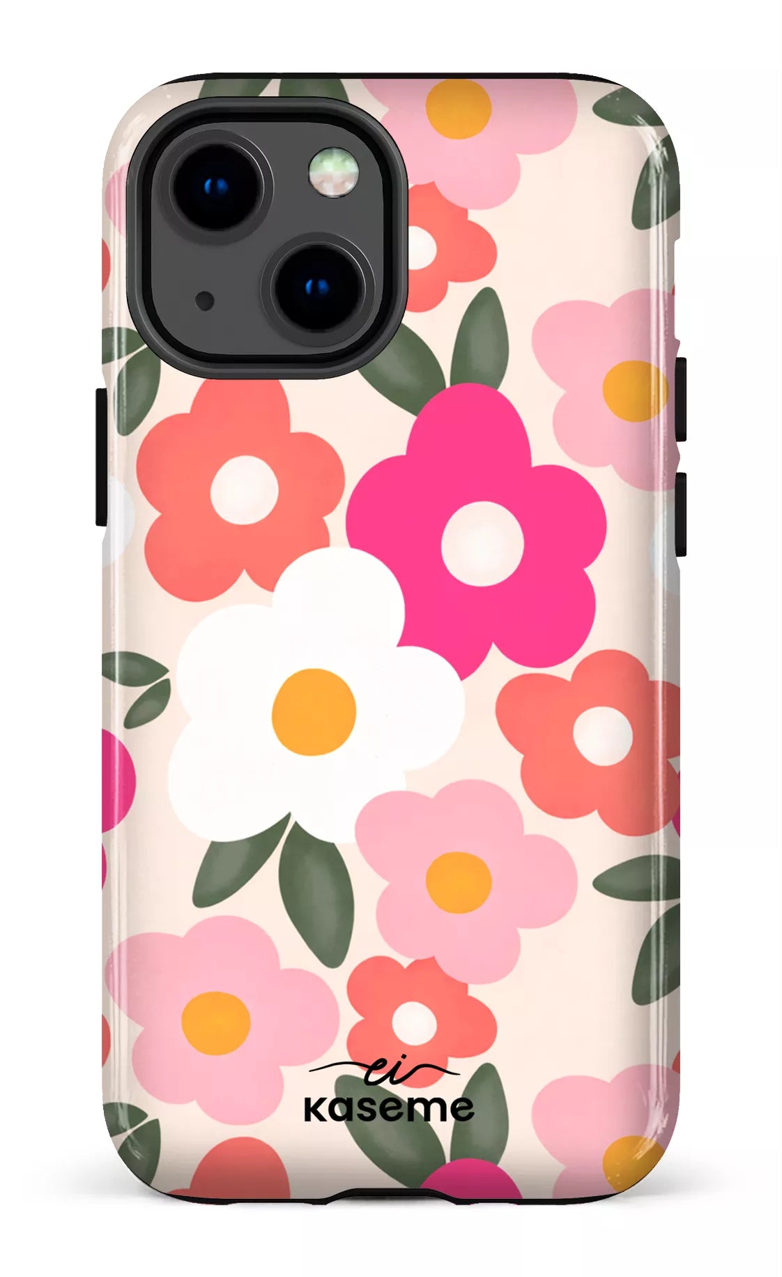 Image of Aurora par Enseignantes Inspirantes