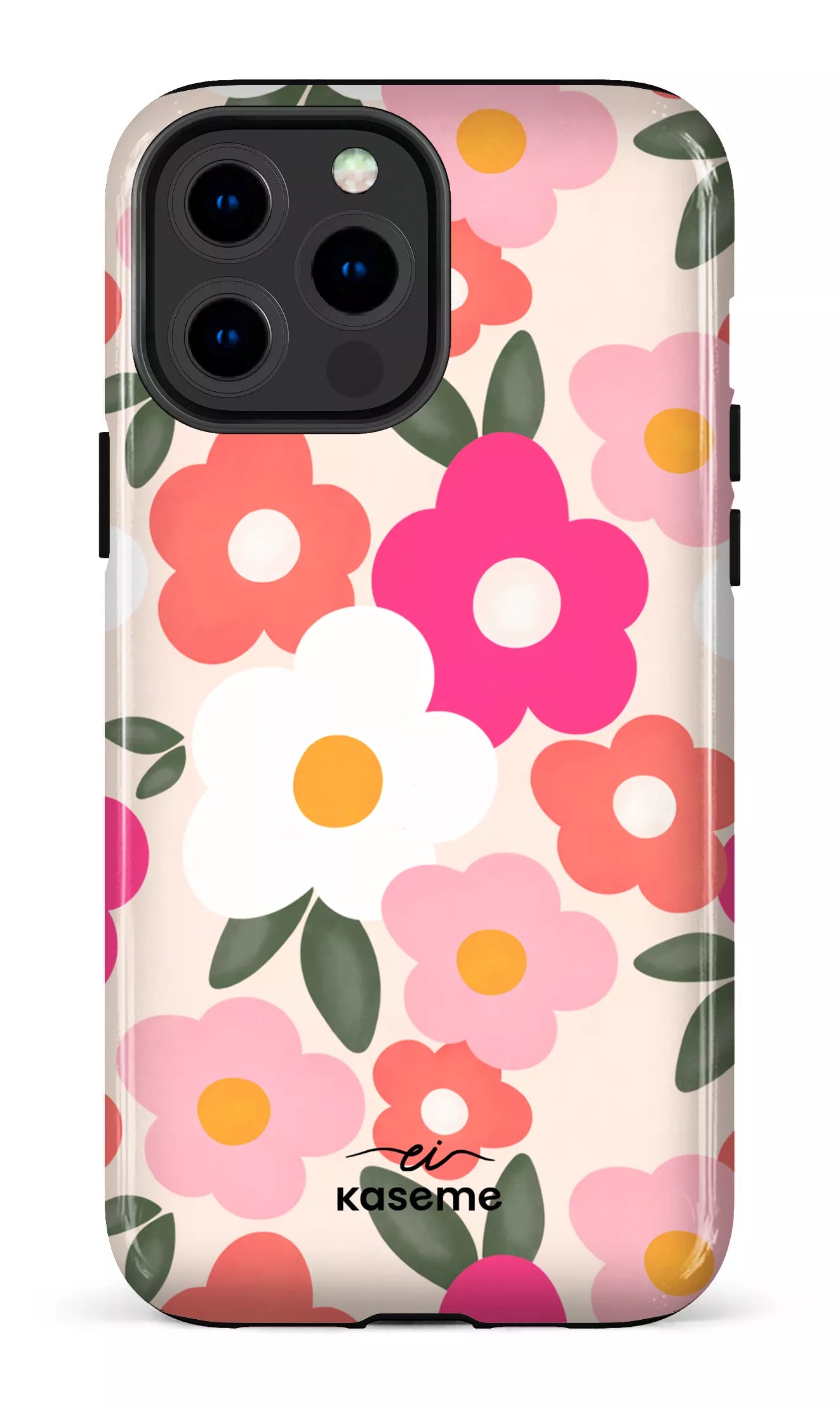 Image of Aurora par Enseignantes Inspirantes