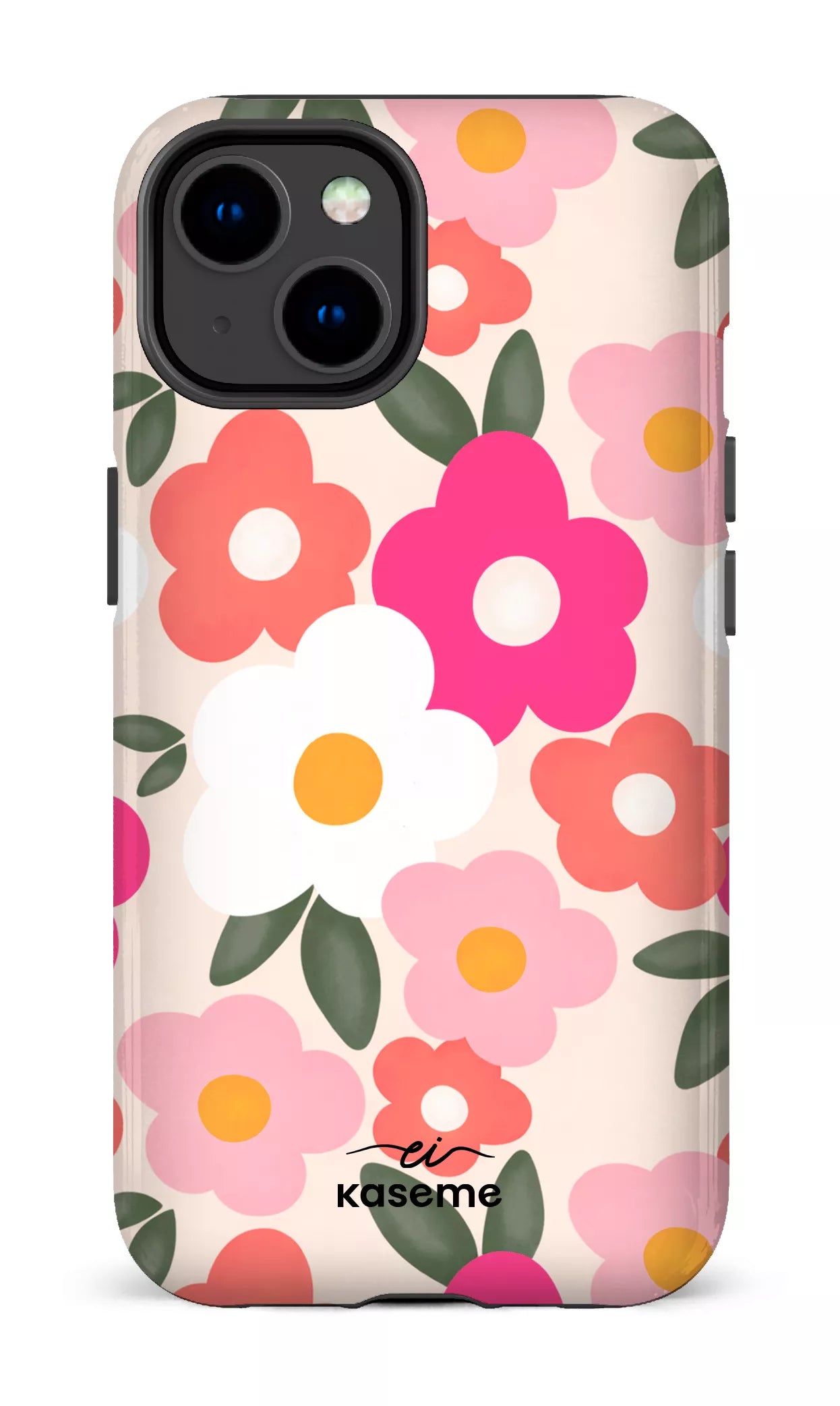 Image of Aurora par Enseignantes Inspirantes