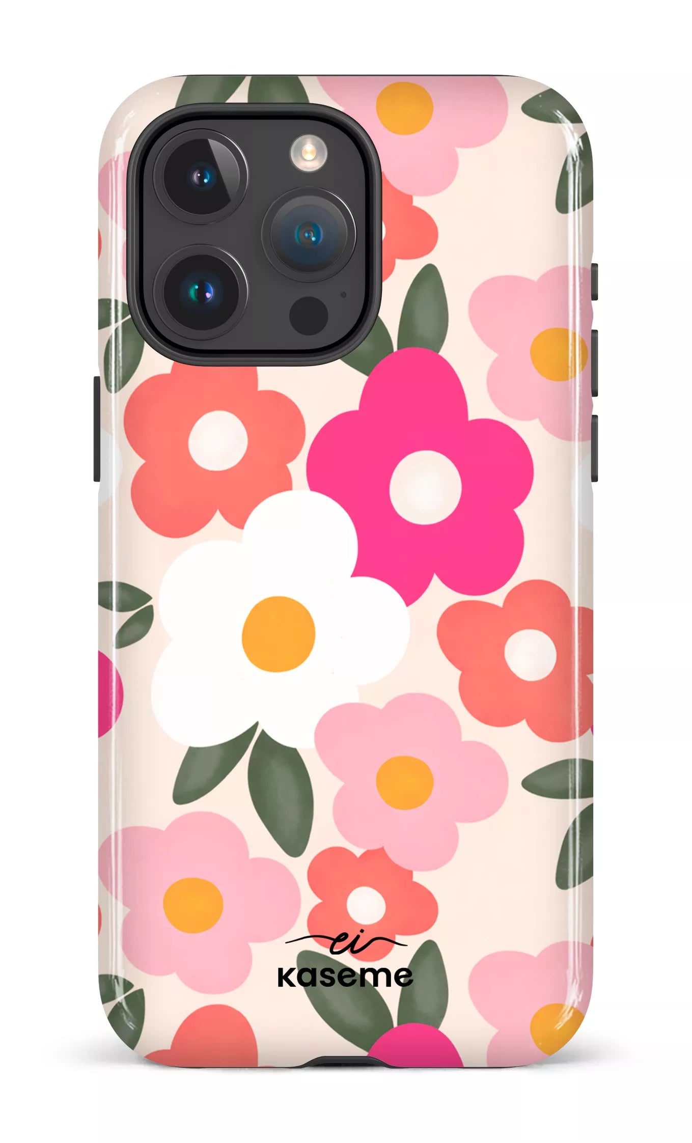 Image of Aurora par Enseignantes Inspirantes