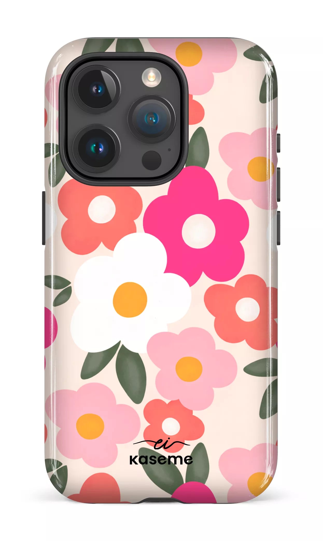 Image of Aurora par Enseignantes Inspirantes