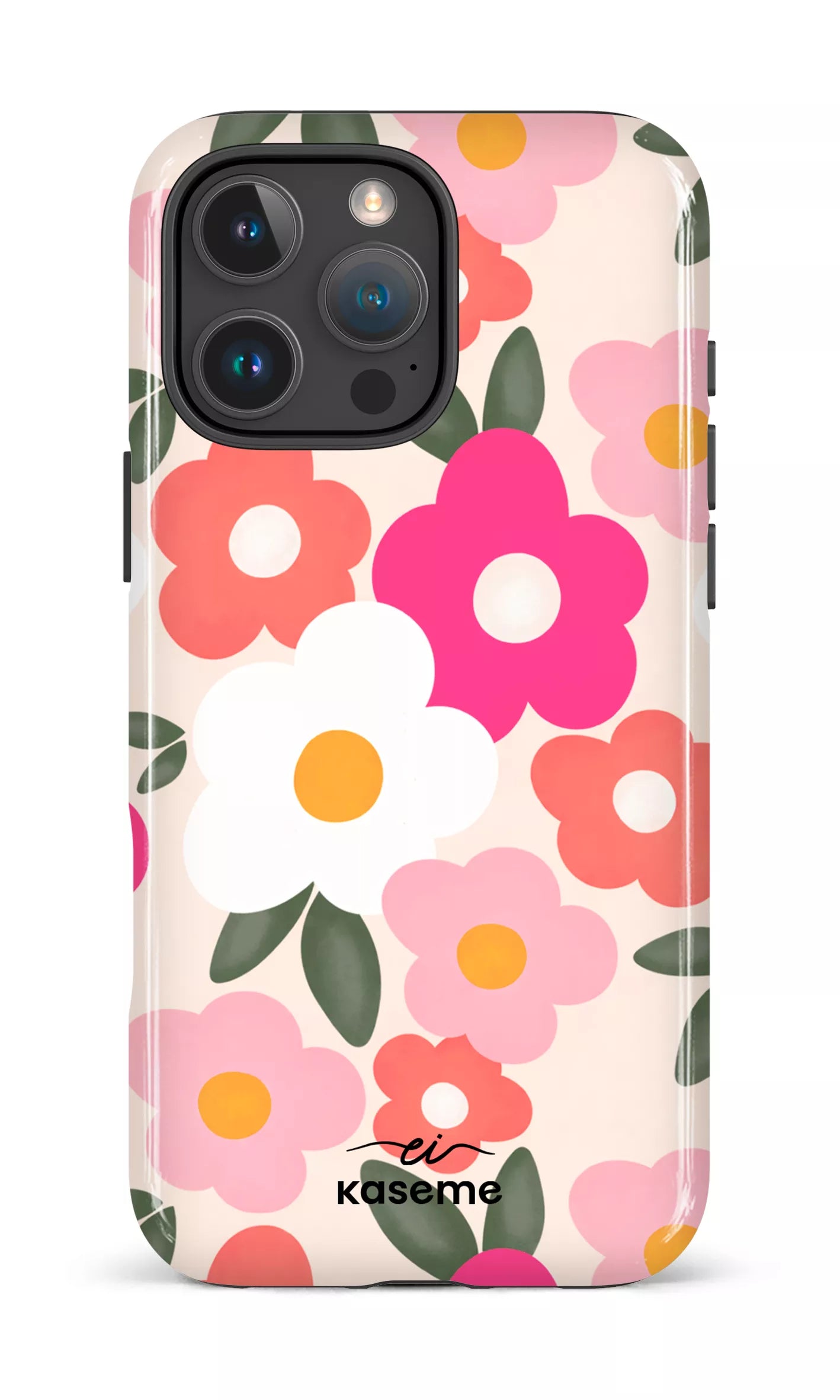 Image of Aurora par Enseignantes Inspirantes